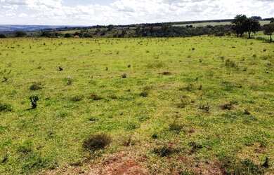 Imagem 3: Terra de cultura. 