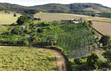 Imagem: A fazenda possui 2500m² de Área e está localizado em Capitólio