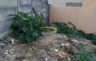 Imagem 5: Lote Milionários. 202m² de Área