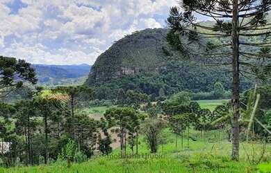 Imagem 4: Imóvel Rural/Terreno Rural