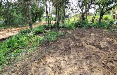 Imagem 4: Terreno para Venda em Almirante Tamandaré, LAMENHA GRANDE