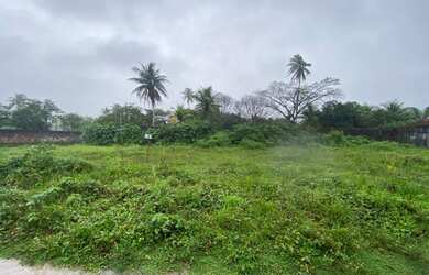 Imagem 3: Terreno de 10x20m. 200m² de Área