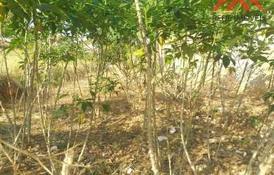 Imagem 2: Terreno à venda, 180 m² por R$ 130.000,00 - Santa Cruz - Americana/SP