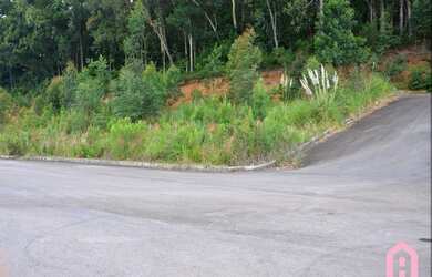 Imagem 5: CAXIAS DO SUL - Terreno Padrão - São Luiz
