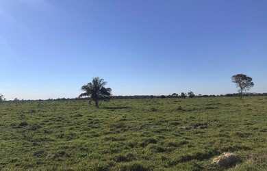 Imagem 5: TITULO VENDO FAZENDA PECUARIA NO VALE DO ARAGUAIA 6130