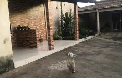 Imagem 9: Casa Bairro Goiá Goiânia ao lado do eldorado parque