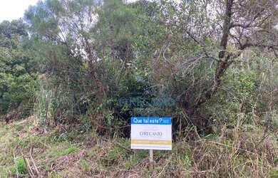 Imagem 4: Terreno à venda, 804 m² por R$ 245.000 - Alpes Verdes - Canela/RS