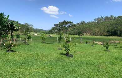 Imagem 12: Linda fazenda a venda com 84 hectares no município de Tijucas SC