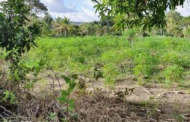 Imagem 12: Terreno para Venda em Porto Seguro, Trancoso