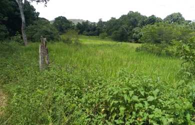 Imagem: A fazenda está localizado em Vila Propício, GO à venda por