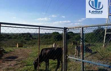 Imagem 4: Ótima área à venda, para condomínio ou galpões, Vargeão, Jaguariúna