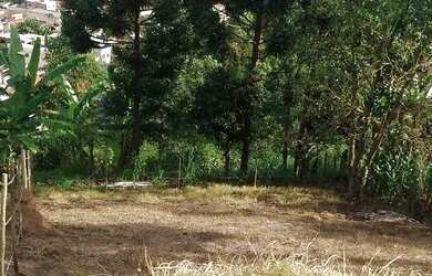 Imagem 1: Lote 360 metros Quitado. 360m² de Área