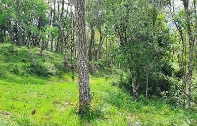 Imagem 16: Imóvel Rural/Terreno Rural