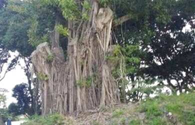 Imagem: O terreno possui 200m² de Área e está localizado em Granja