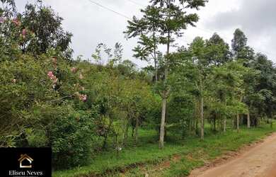 Imagem 5: Vendo Terreno no Barão de Javary em Miguel Pereira - RJ