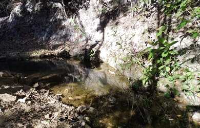 Imagem: O terreno possui 20000m² de Área e está localizado em Jaboticatubas