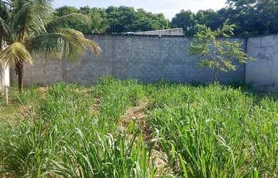 Imagem 3: Terreno para Venda em Rio de Janeiro, Ilha de Guaratiba