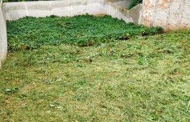 Imagem 2: Terreno à venda, 200 m² por R$ 69.000,00 - Conjunto Habitacional Monsenhor...