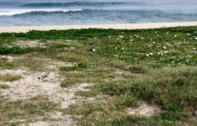 Imagem 10: Lote/Terreno para venda possui 480 metros quadrados em Guaratiba (Ponta Negra) - Maricá