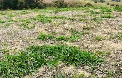 Imagem 5: Lote/Terreno para venda tem 500 metros quadrados em Usina - Atibaia -...