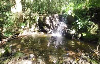 Imagem 16: Terrenos 20.000 m² - Santa Lucia do Piaí - Caxias do Sul