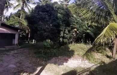 Imagem: O terreno possui 8.000m² de Área e está localizado em Oitizeiro