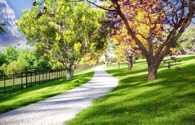 Imagem 5: Iote Condomínio vinhas Flamboyant - Goiânia - Goiás