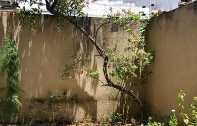 Imagem 13: Prédio no bairro Benfica com 600 m2