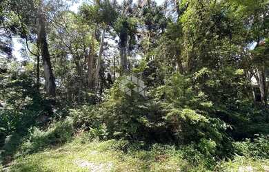 Imagem 4: Terreno a Venda em Canela