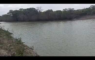 Imagem 3: Oportunidade Vende-se uma excelente fazenda de 2000 hectares