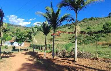 Imagem: A fazenda possui 460.000m² de Área e está localizado em