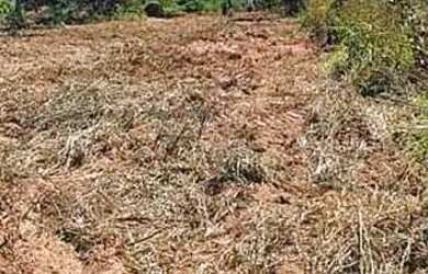 Imagem 8: Fazenda/Sítio/Chácara para venda tem metros quadrados em zona rural...