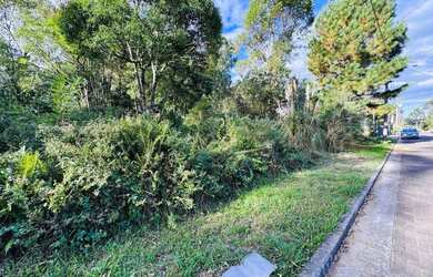 Imagem 3: Terreno à Venda em Gramado