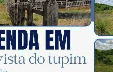 Imagem: A fazenda está localizado em Boa Vista do Tupim, BA à venda