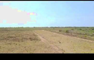 Imagem 4: Oportunidade Vende-se uma excelente fazenda de 2000 hectares