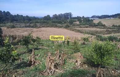 Imagem 2: VENDA - ÁREA RURAL COM 2,5 HECTARES SANTA LUCIA