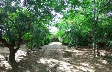 Imagem: O terreno possui 1.029m² de Área e está localizado em Nova