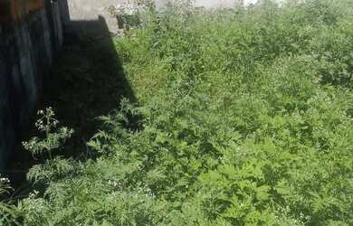 Imagem: O terreno possui 90m² de Área e está localizado em Pontal