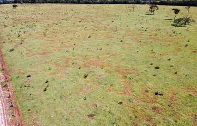 Imagem 6: Terra de cultura. 