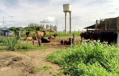 Imagem: A fazenda possui 10.000.000m² de Área, Imóvel novo e está