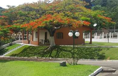 Imagem 4: CHÁCARA CAMPO LIMPO PAULISTA CHÁCARA DAS FLORES