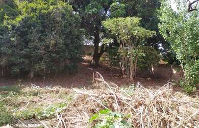 Imagem: O terreno possui 360m² de Área e está localizado em Três