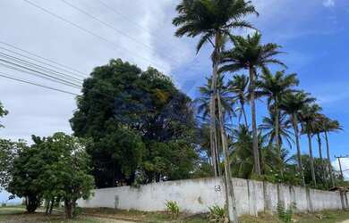Imagem 16: Casa de Praia na Beira Mar Pé na Areia no Litoral do Ceará a venda por...