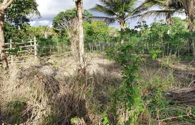 Imagem 5: Terreno para Venda em Porto Seguro, Trancoso