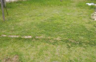 Imagem 8: Lote/Terreno em condomínio fechado no Recreio, a 10 min das melhores...