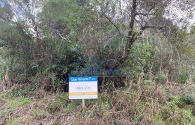 Imagem 2: Terreno à venda, 804 m² por R$ 245.000 - Alpes Verdes - Canela/RS