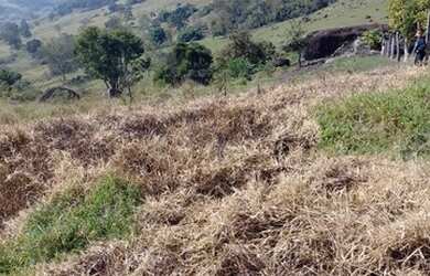 Imagem: A fazenda possui 6.000m² de Área e está localizado em Munhoz
