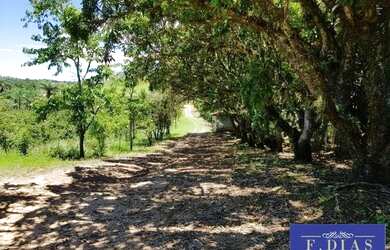 Imagem 4: Chácara Santa Branca x Guararema (beira do rio Paraíba