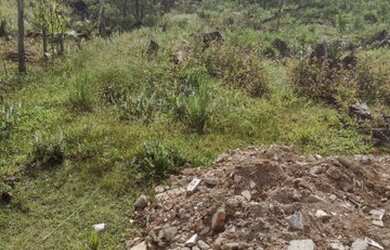 Imagem: O terreno possui 12m² de Área e está localizado em Estados