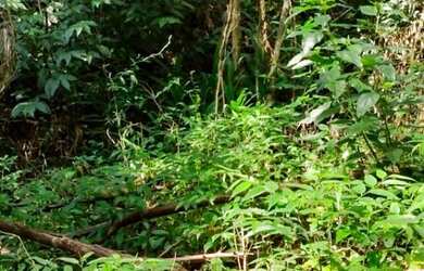 Imagem: A fazenda está localizado em Área Rural de Taquara, Taquara